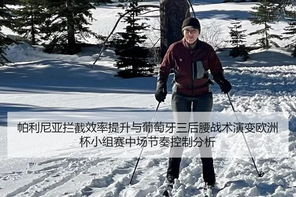 帕利尼亚拦截效率提升与葡萄牙三后腰战术演变欧洲杯小组赛中场节奏控制分析